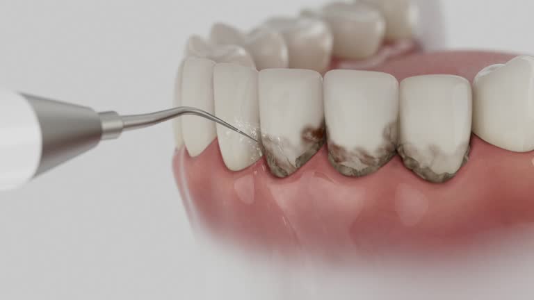 Reliable Dental contractor in North Charleroi, PA by Dentist Open Now